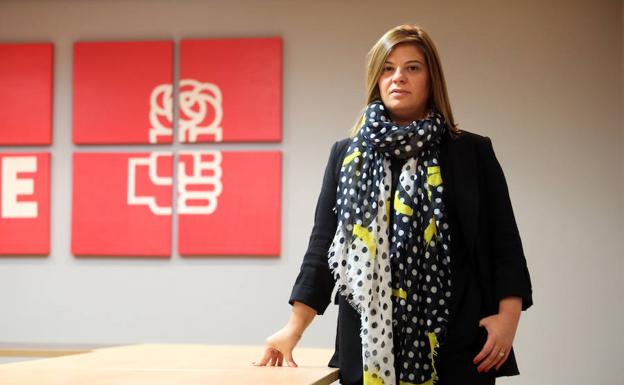 Llamedo (FSA-PSOE) cree que Mallada (PP) extrapolaría a Asturias el acuerdo del PP y Vox en Castilla y León
