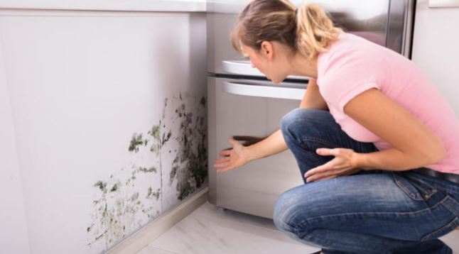 Diez formas infalibles de terminar con las humedades en casa 1 Moncloa humedades-casa