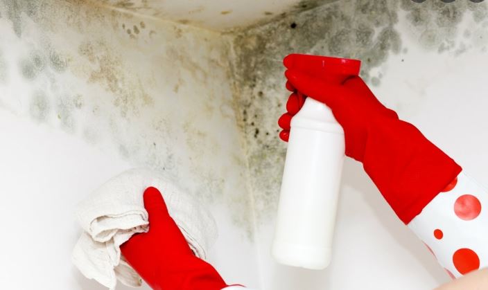 Diez formas infalibles de terminar con las humedades en casa 4 Moncloa humedades-casa