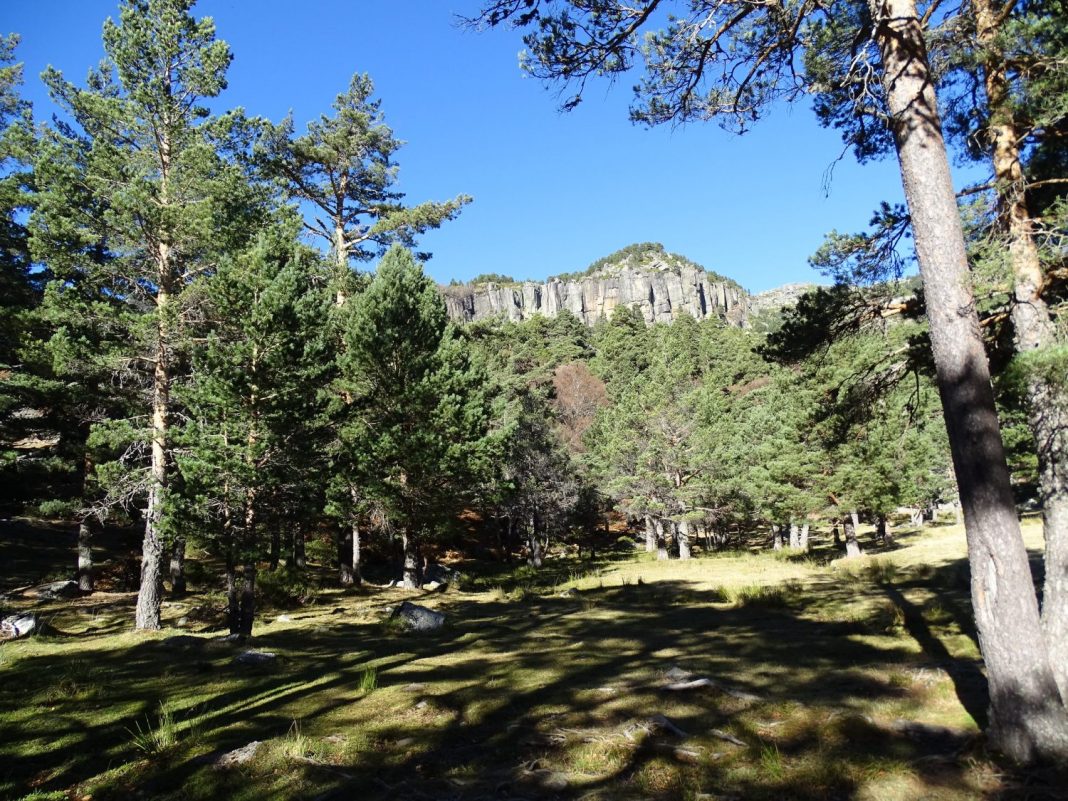 La Fuentona en Soria