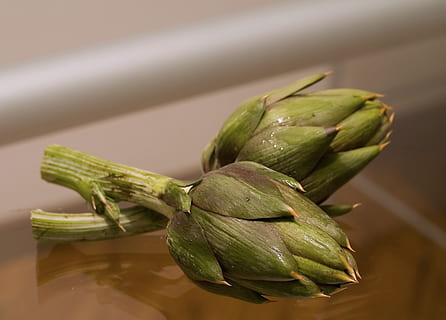 alcachofas nevera