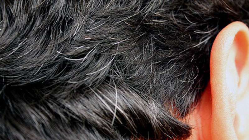 Ingredientes y primeros pasos