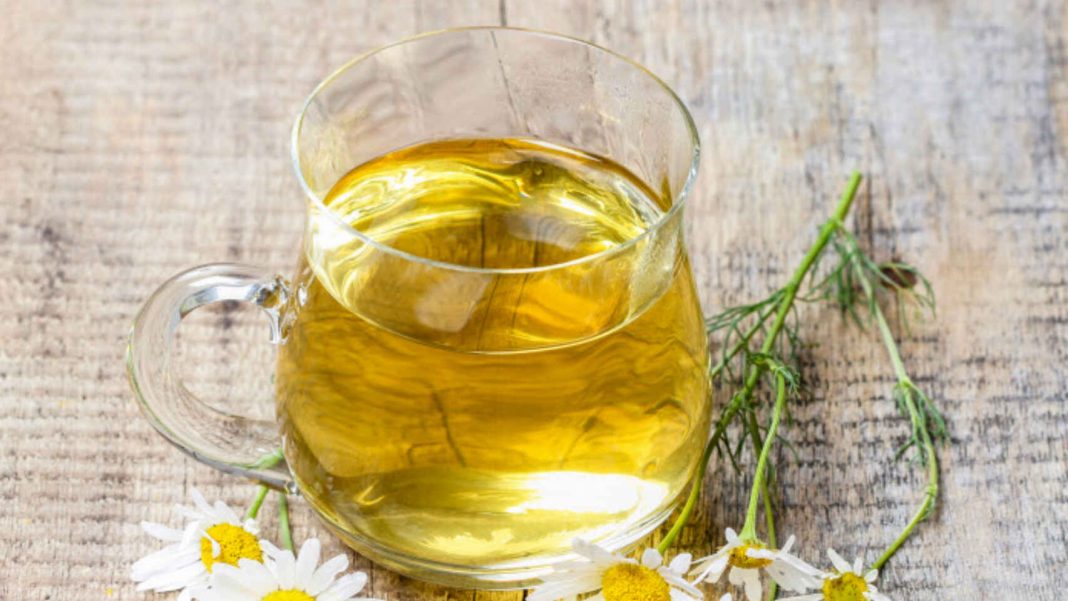 La manzanilla mejora el sistema inmunitario