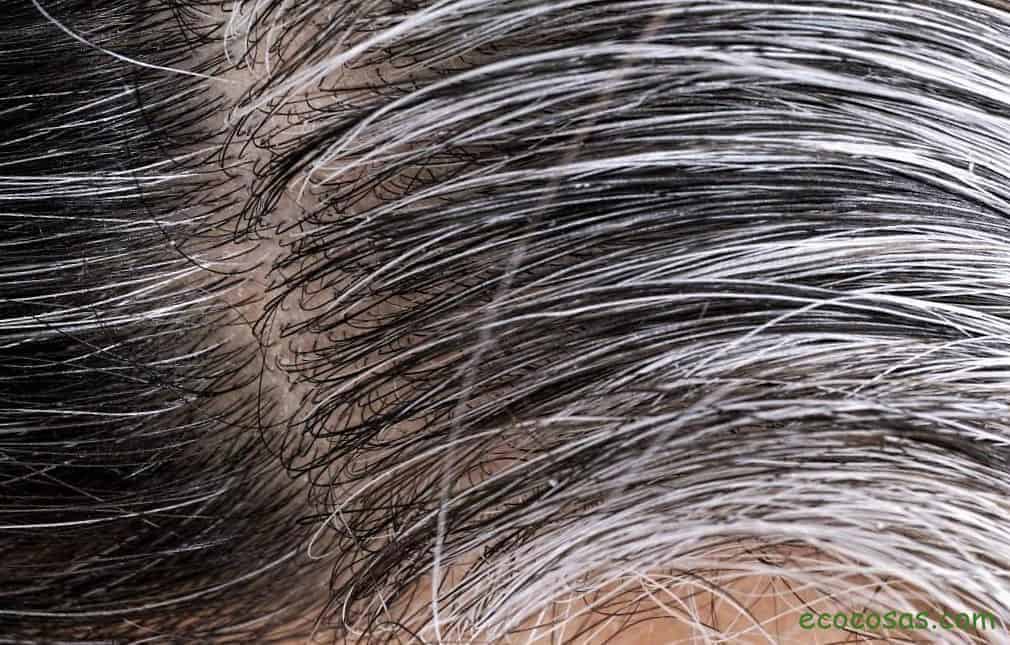¿Cómo emplearlo para eliminar las canas?