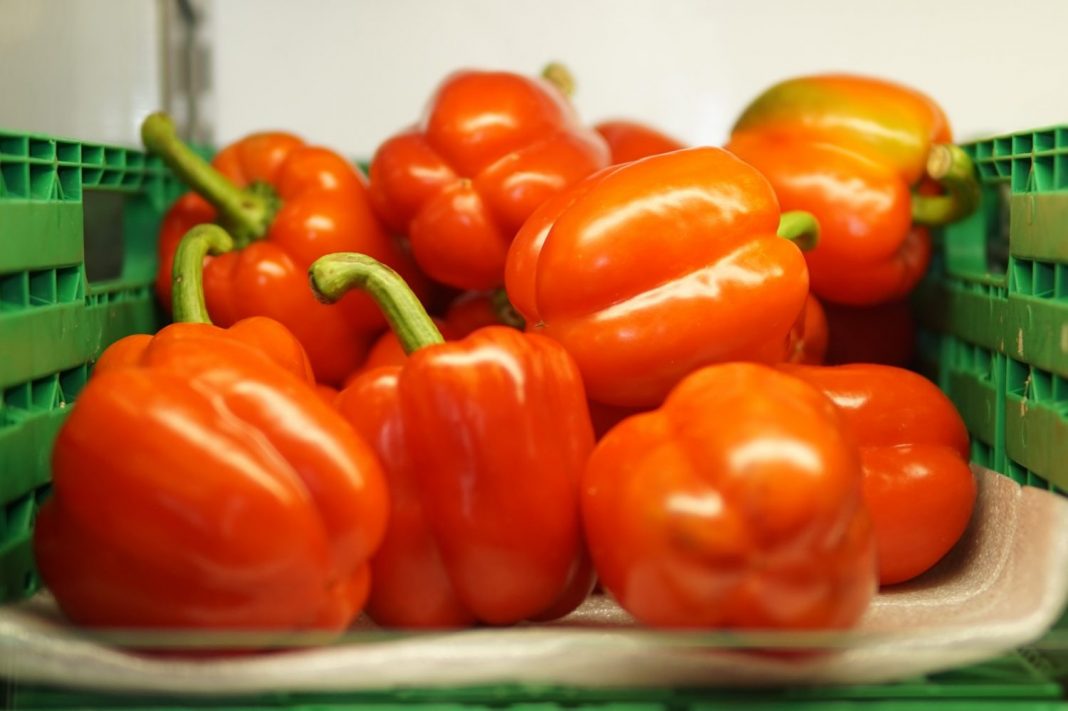 ingredientes ensalada de pimiento