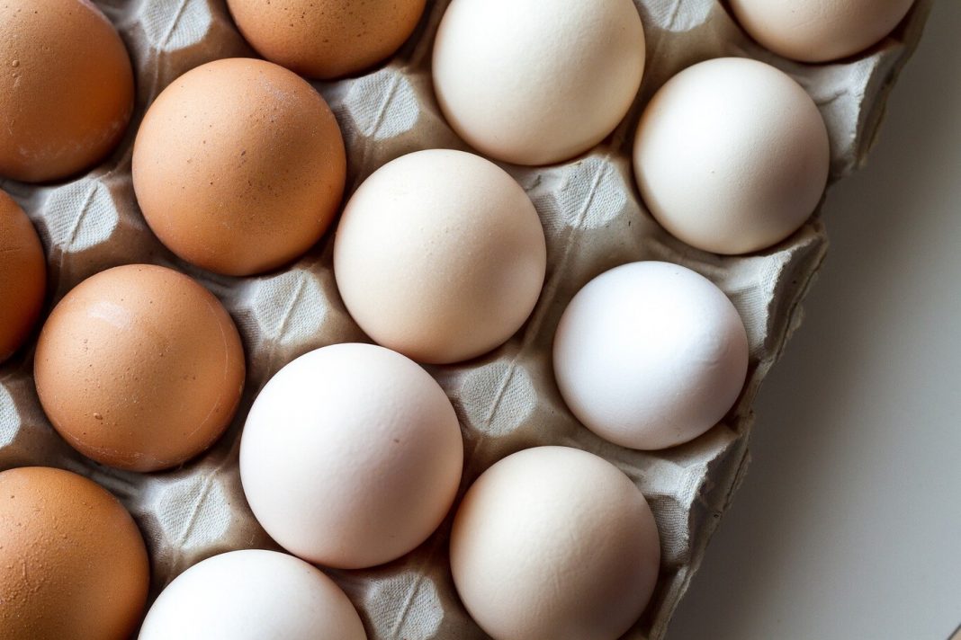 Intoxicación por ingerir huevos en mal estado