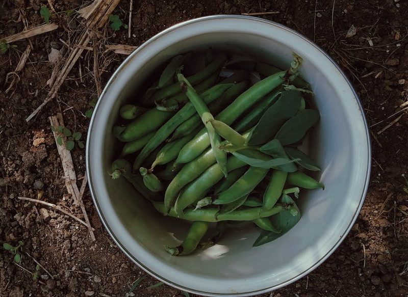 INGREDIENTES PARA PREPARAR LAS JUDÍAS VERDES A LA PROVENZAL