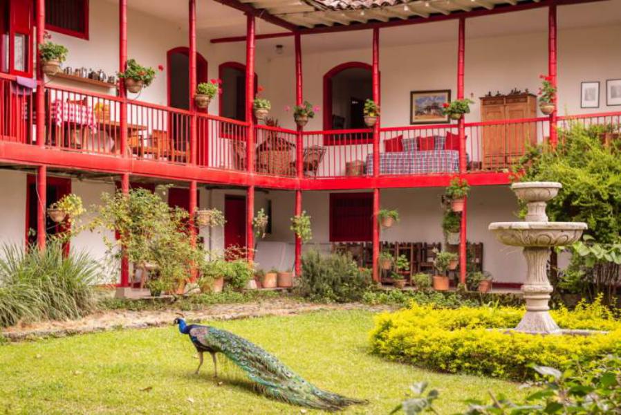 Dónde está ubicada la hacienda de Café con aroma de mujer