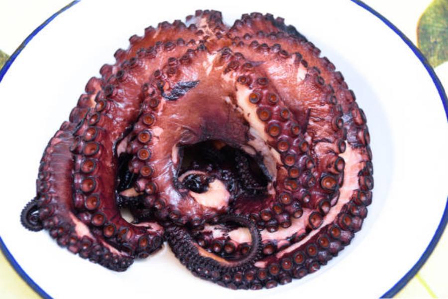 El origen del pulpo no afecta el precio