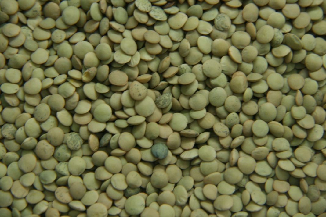 lentejas toque oriental
