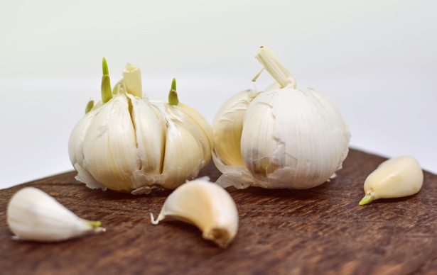 sofrito de ajo