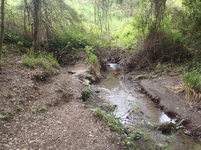 La Generalitat de Cataluña cierra los bosques para evitar incendios en vez de cuidarlos 1 Moncloa 3657136 Moncloa