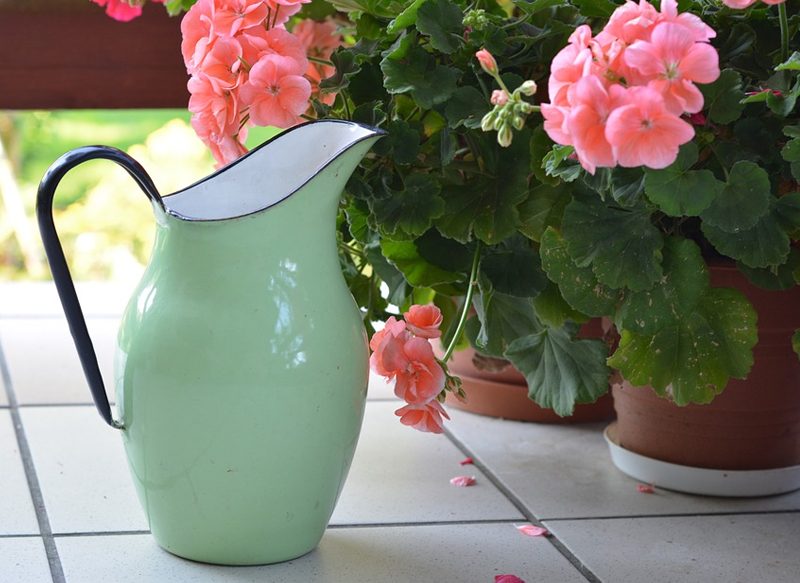 OTRAS OPCIONES DE RIEGO AUTOMÁTICO SIN PROGRAMAR PARA TUS PLANTAS