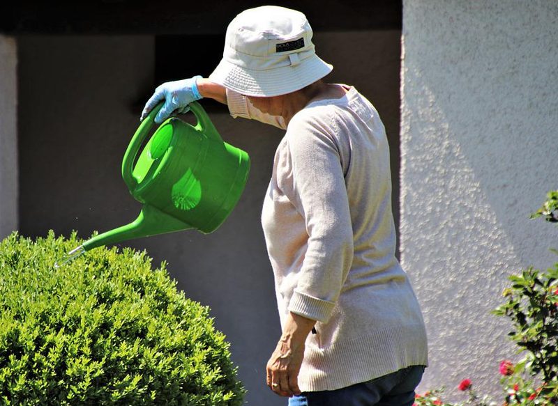 UTILIZA UN RIEGO AUTOMÁTICO CASERO PARA TUS PLANTAS