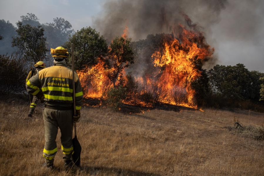 Incendios en la sierra de la Culebra