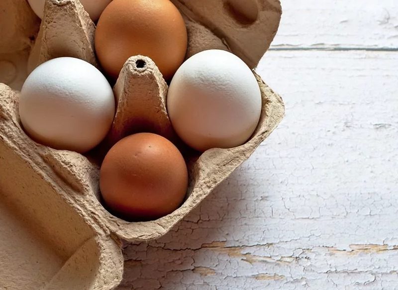 EL DESCONOCIDO USO DE LA CÁSCARA DE LOS HUEVOS