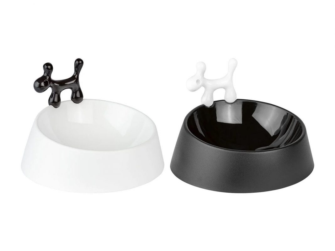 El mejor juguete para tu gato está en Lidl