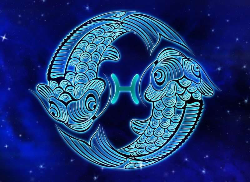 PISCIS SUEÑA DESPIERTO