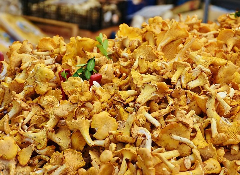 CONTINUANDO CON LA RECETA