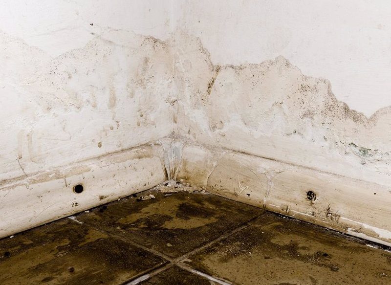 REDUCE LA PRODUCCIÓN DE HUMEDAD