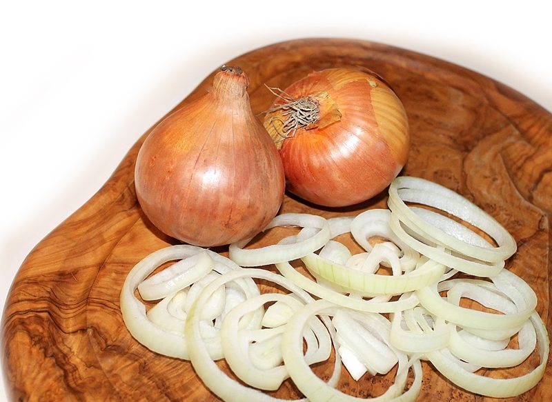 INGREDIENTES DE LA CEEBOLLA CARAMELIZADA