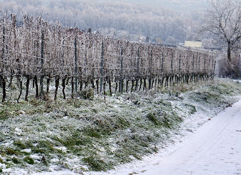 LAS TEMPERATURAS GÉLIDAS Y LAS NEVADAS, MÁS CERCA