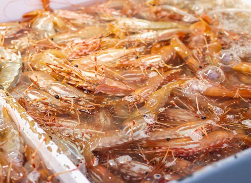 LANGOSTINOS CONGELADOS, IMPRESCINDIBLES EN NAVIDAD