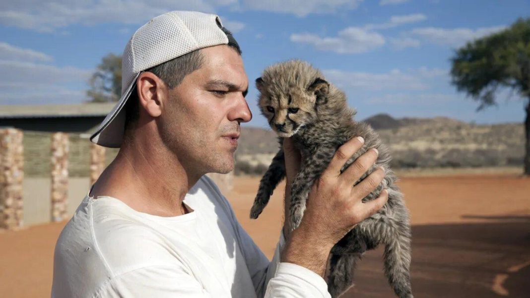 frank cuesta es uno de los famosos que podria haber sido politico
