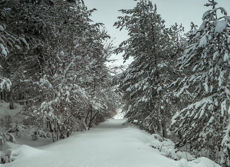 LAS NEVADAS INTENSAS LLEGARÁN EL 24 DE ENERO