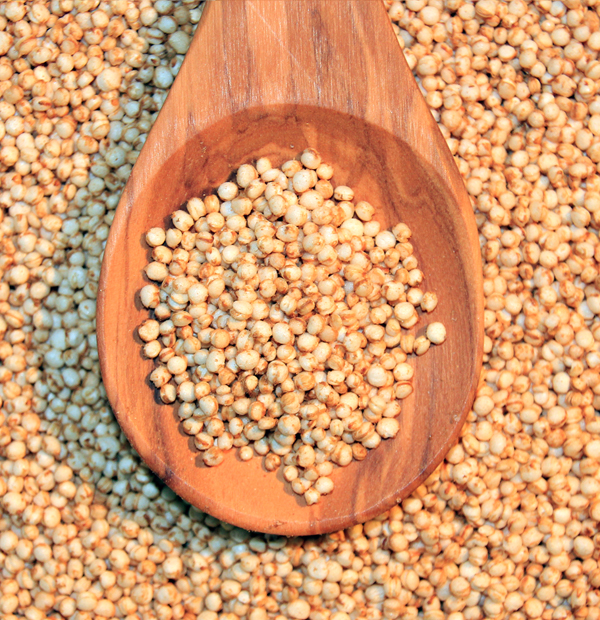 ingrediente principal