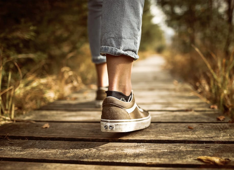 LOS PASEOS, FUNDAMENTALES