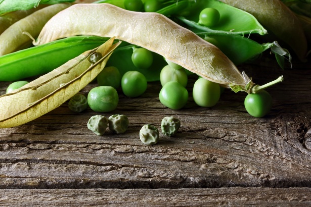 que saber sobre esta receta