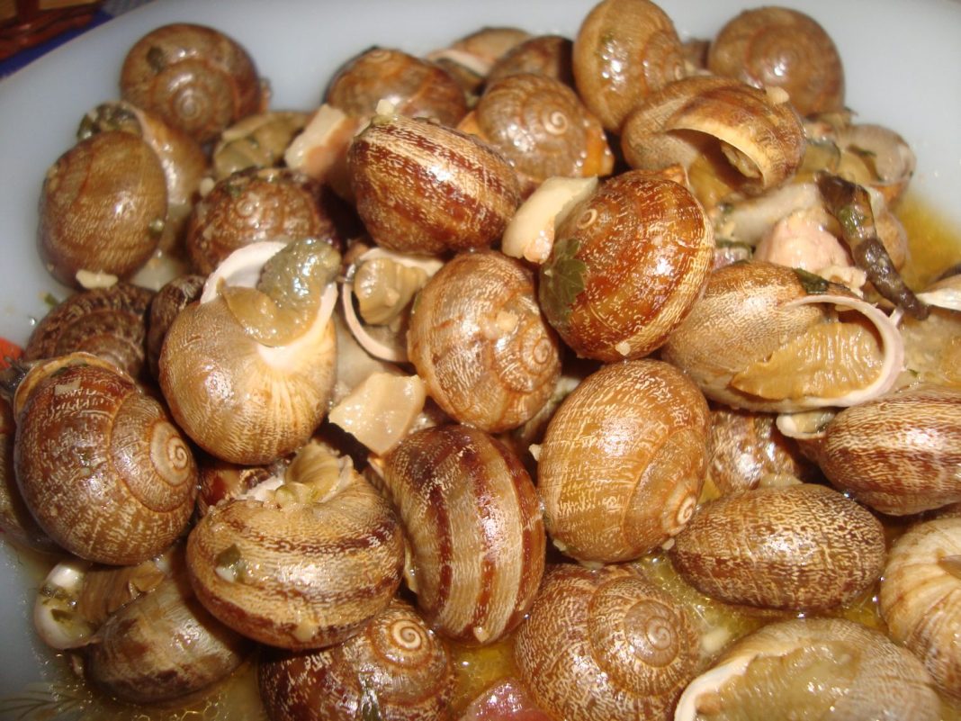 truco caracoles en salsa