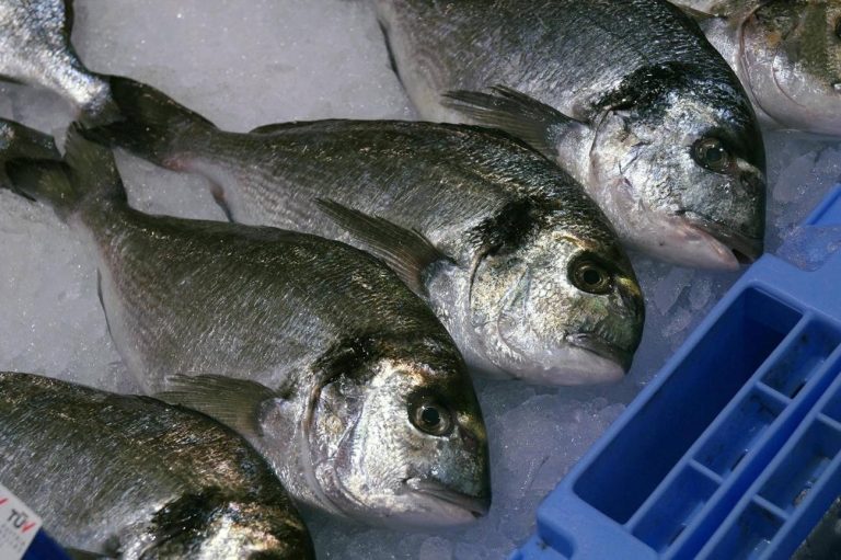 La OCU te cuenta cinco consejos para comprar pescado fresco y saludable en Semana Santa