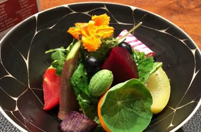 ensalada 20 vegetales