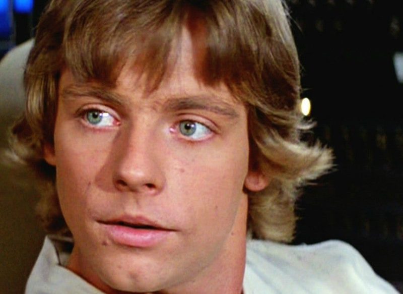 MARK HAMILL, UNA CARRERA MARCADA POR SU PAPEL EN STAR WARS