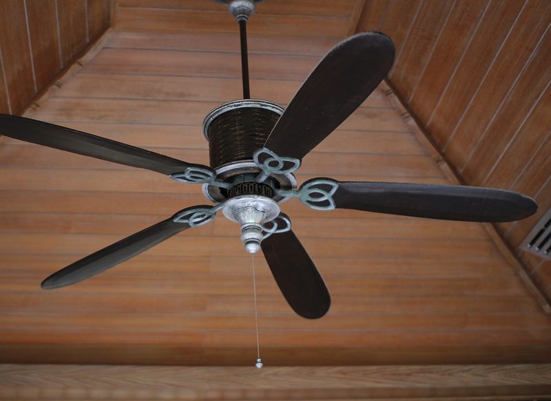 LA IMPORTANCIA DE LA HUMEDAD