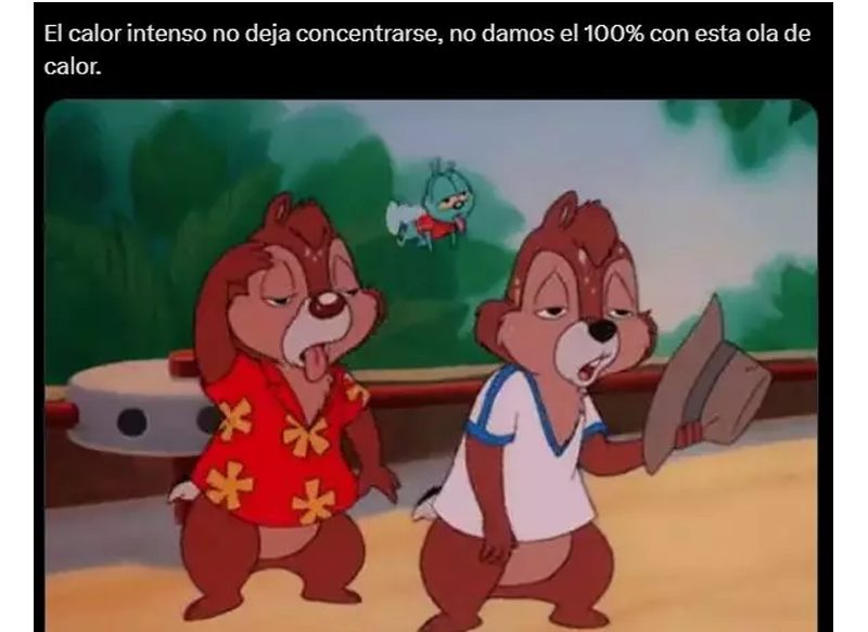 OTROS MEMES PREPARÁNDOSE PARA EL VERANO
