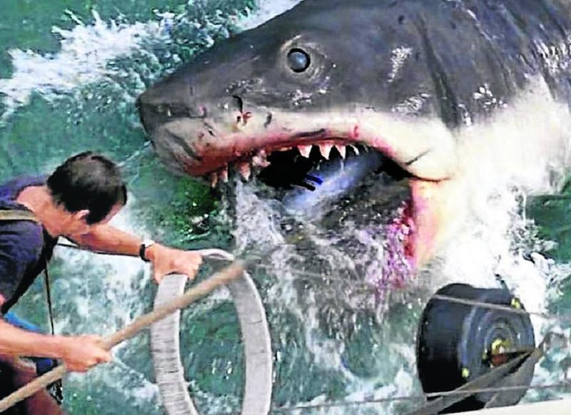 'TIBURÓN', UNO DE SUS GRANDES ÉXITOS