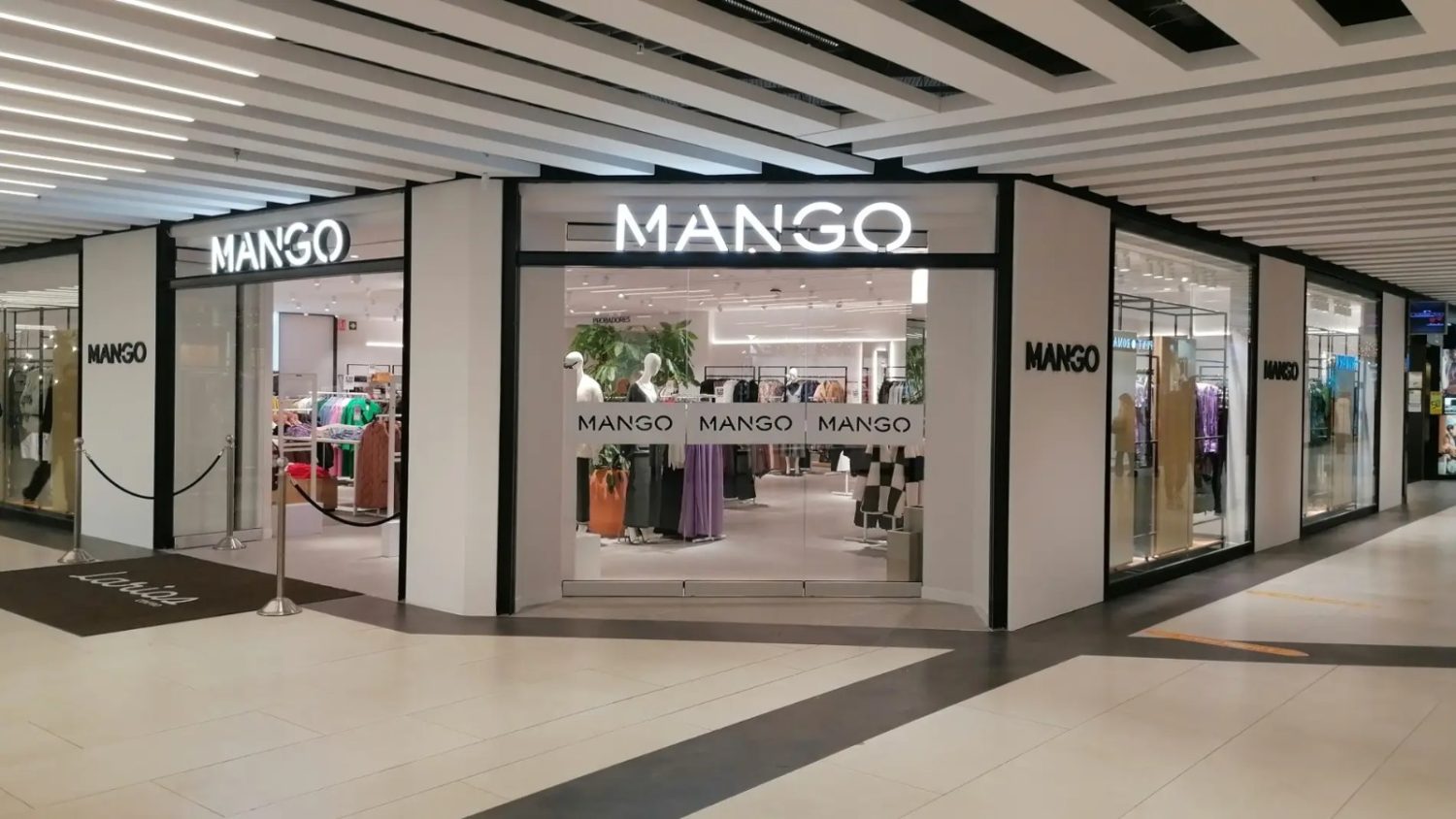 mango