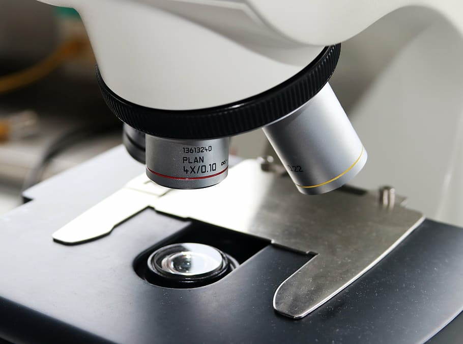 laboratorio