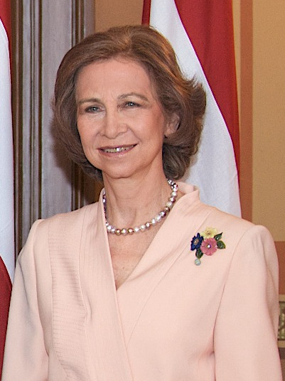 profesionalidad reina sofia