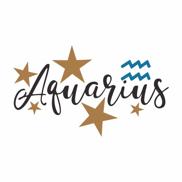 acuario caracteristicas