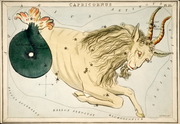 capricornio disciplina