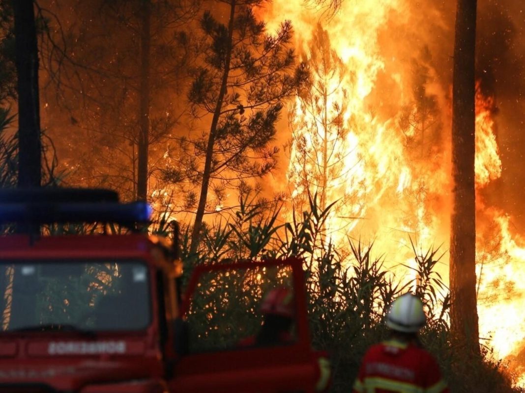 Incendios forestales españa