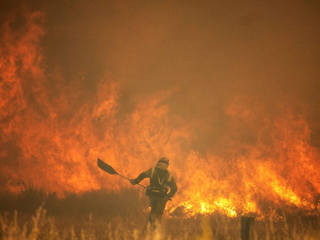Incendio Forestal en España (Fuente: Agencias)