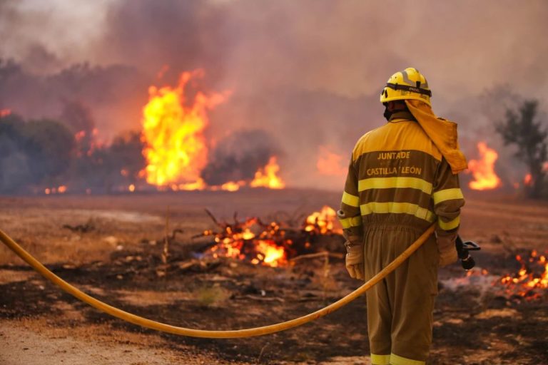 Incendios forestales en España hasta julio: 50.384 hectáreas quemadas, el 39,8% de todo el fuego en la UE