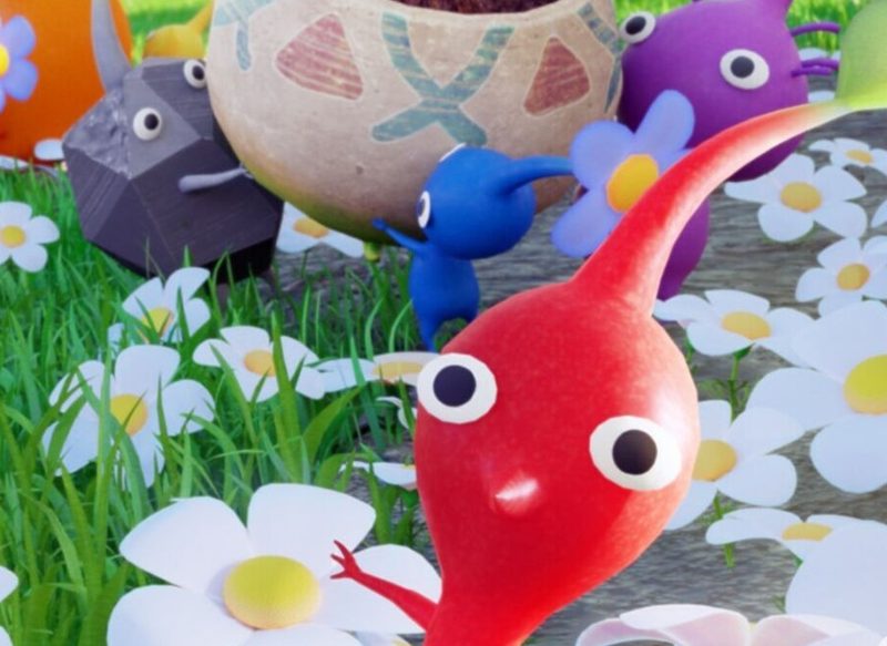 EL OBJETIVO DE PIKMIN FINDER