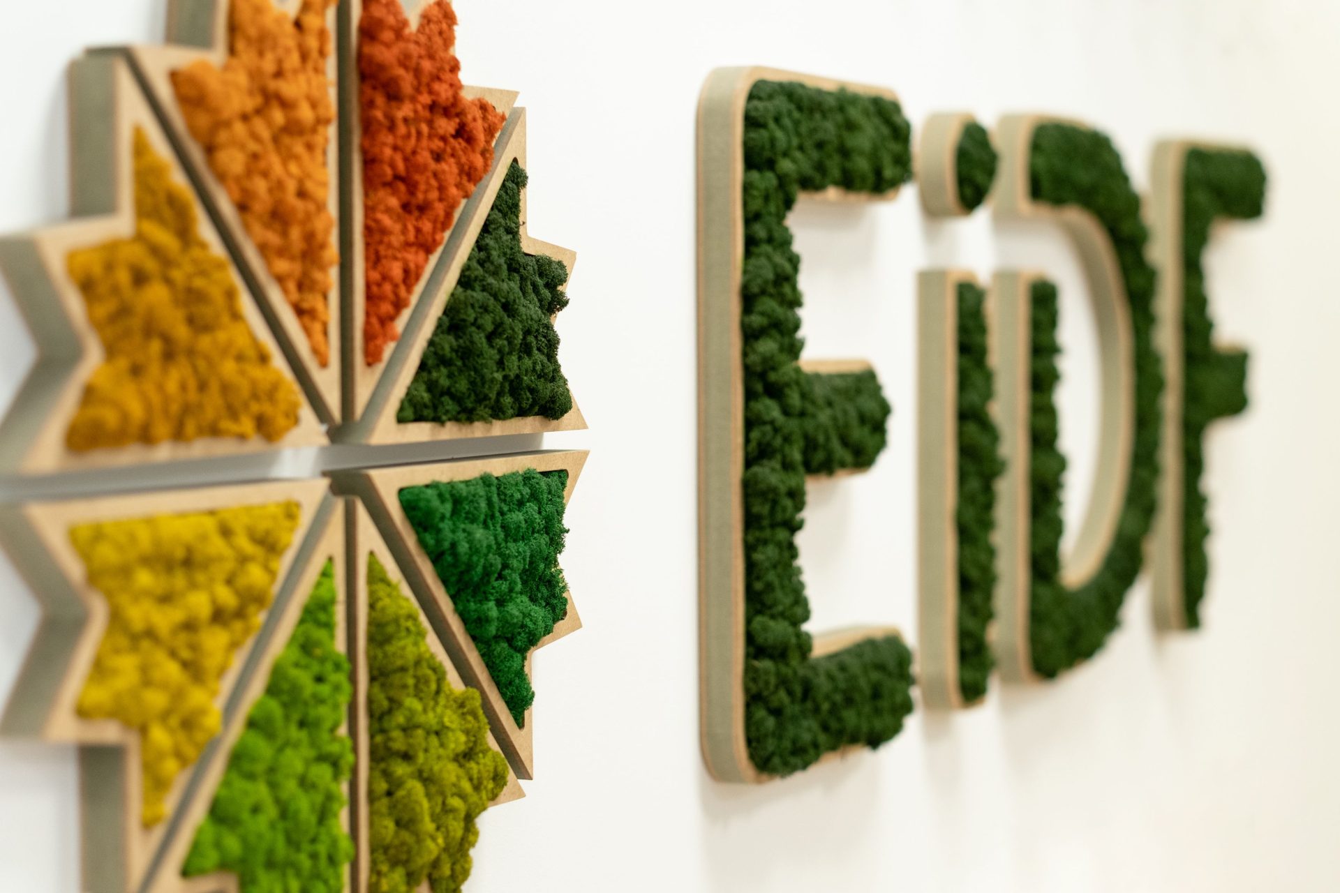 20230130-eidf-corporativas-19