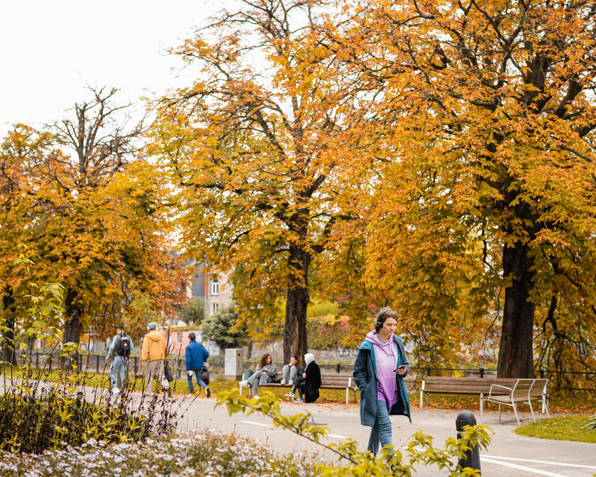 otoño